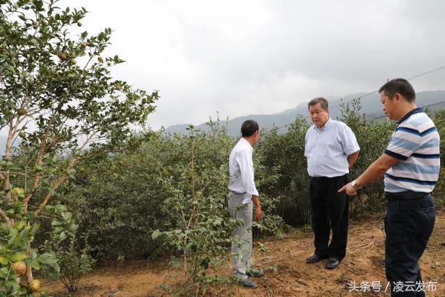 伶站瑶族乡新项目，地区发展的强大驱动力