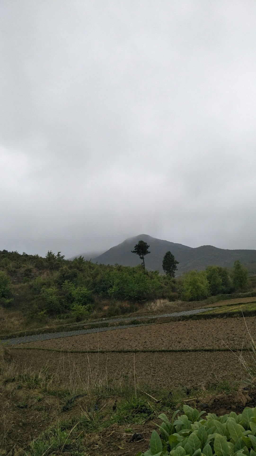 燕子墩乡天气预报更新通知