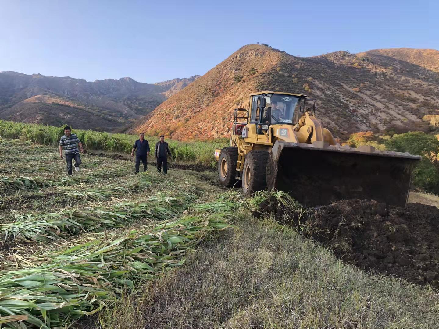 万和永镇最新交通新闻概览，道路状况、交通规划一网打尽！