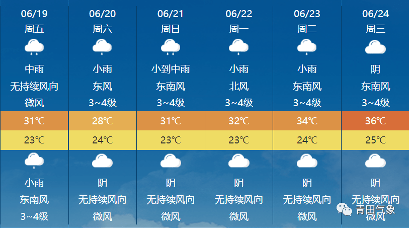 2025年2月19日 第4页