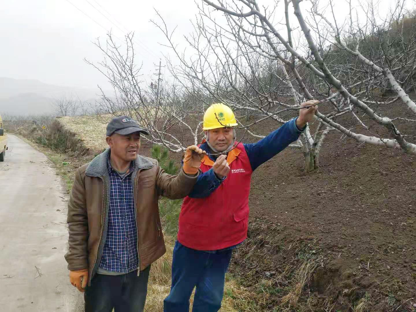 椒金山街道最新项目，先锋力量引领城市发展之路